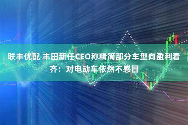 联丰优配 丰田新任CEO称精简部分车型向盈利看齐：对电动车依然不感冒